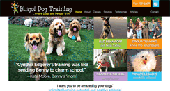 Desktop Screenshot of bingodogtraining.com